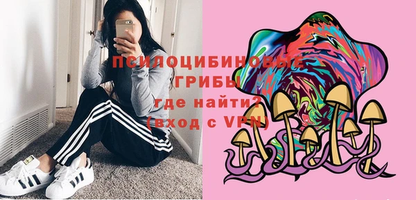 apvp Баксан