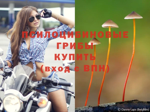 прущий лед Балахна