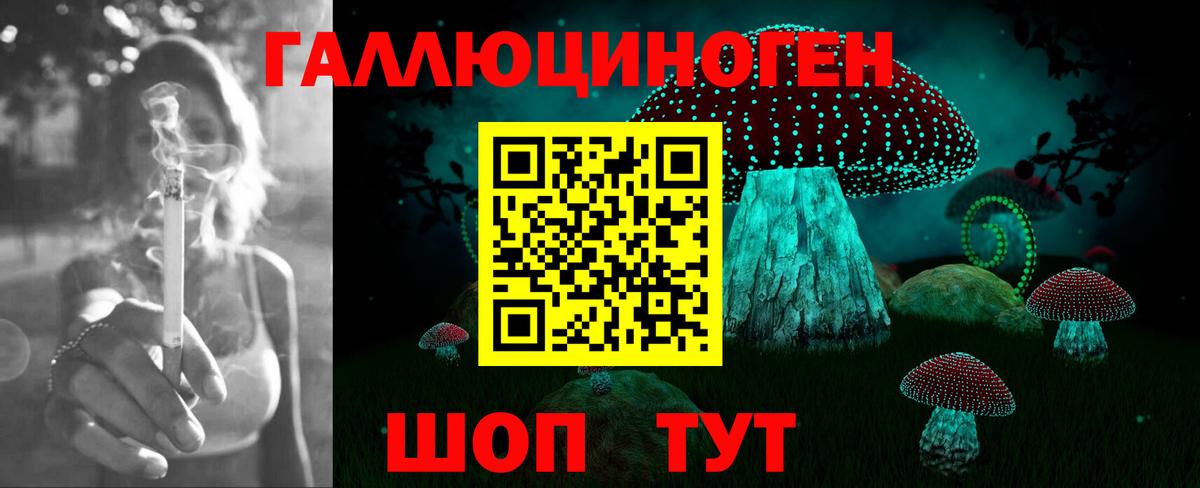 Коммунар  Псилоцибиновые грибы MAGIC MUSHROOMS  Вход с VPN 
